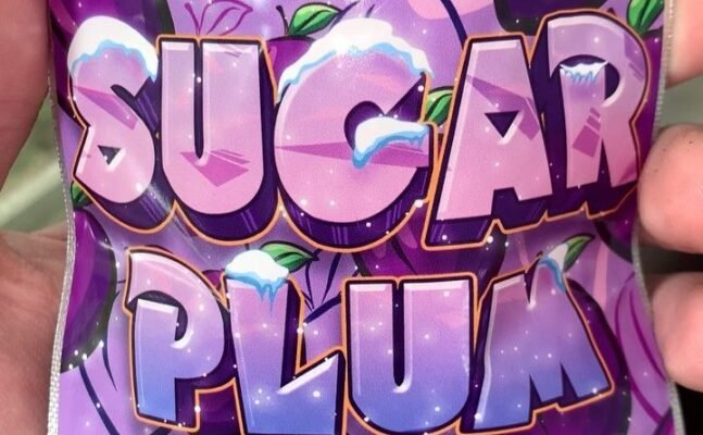 Sugar Plum Strain